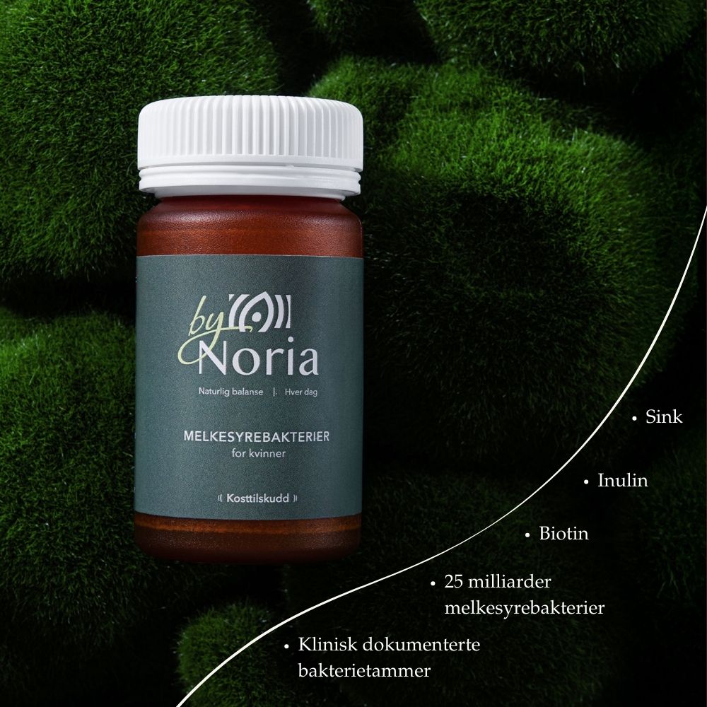 ByNoria Melkesyrebakterier