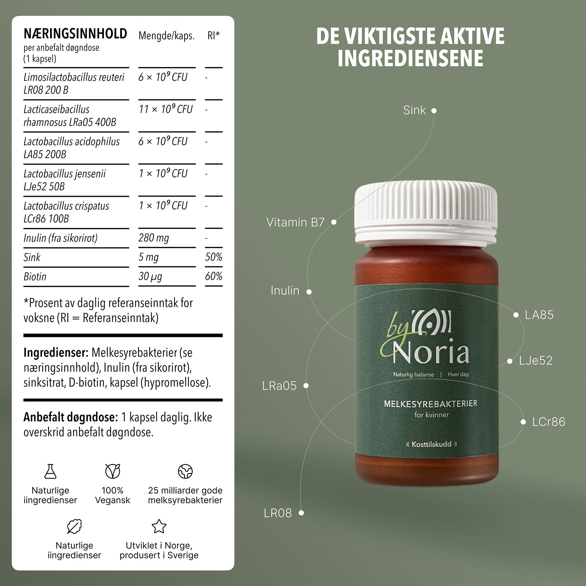 ByNoria Melkesyrebakterier